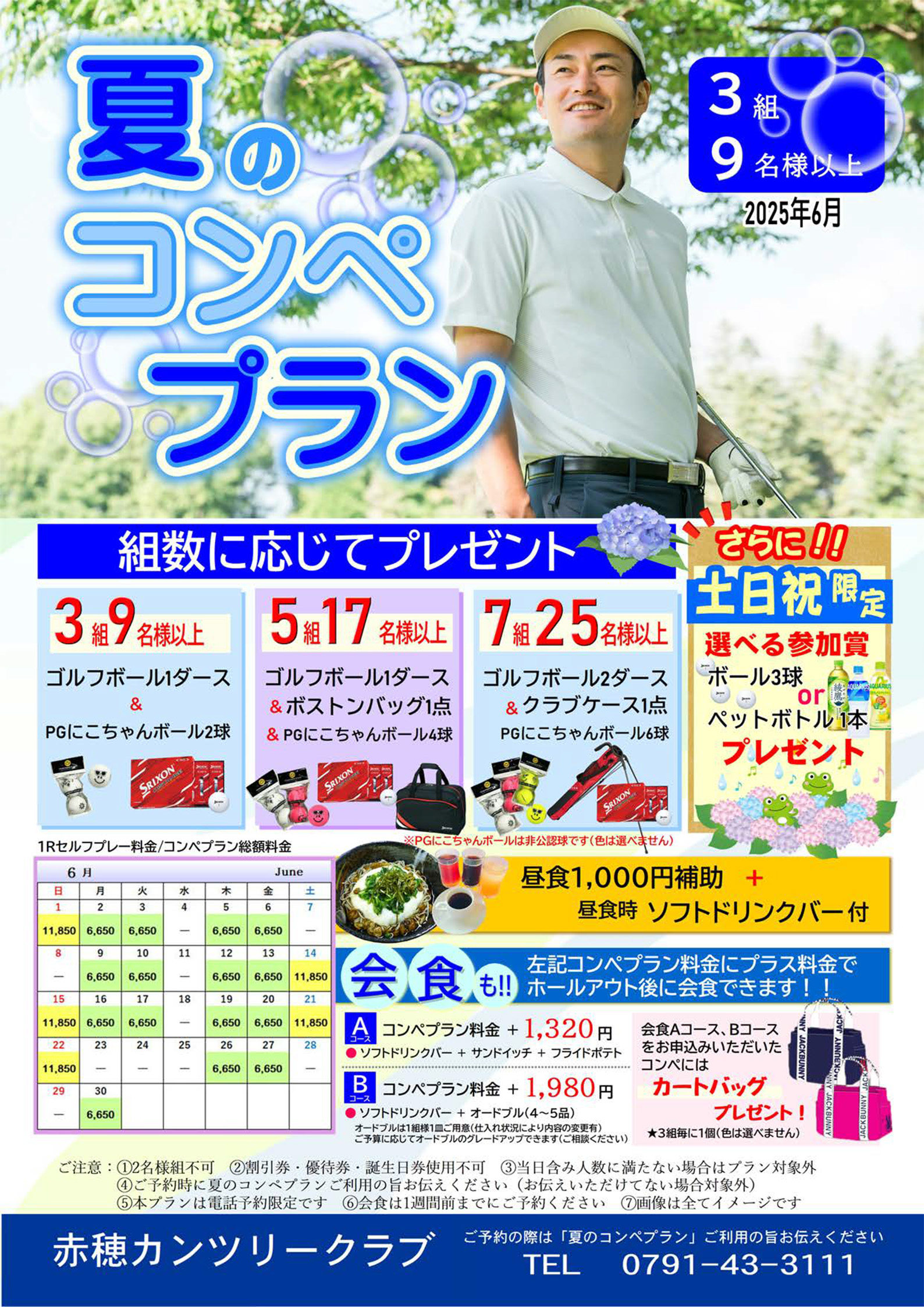 夏のコンペプラン